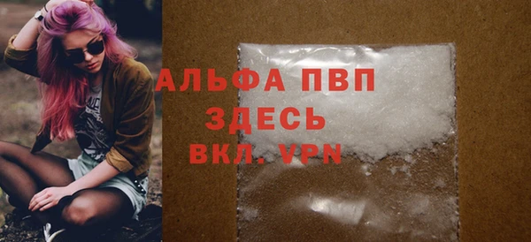 гашик Абаза